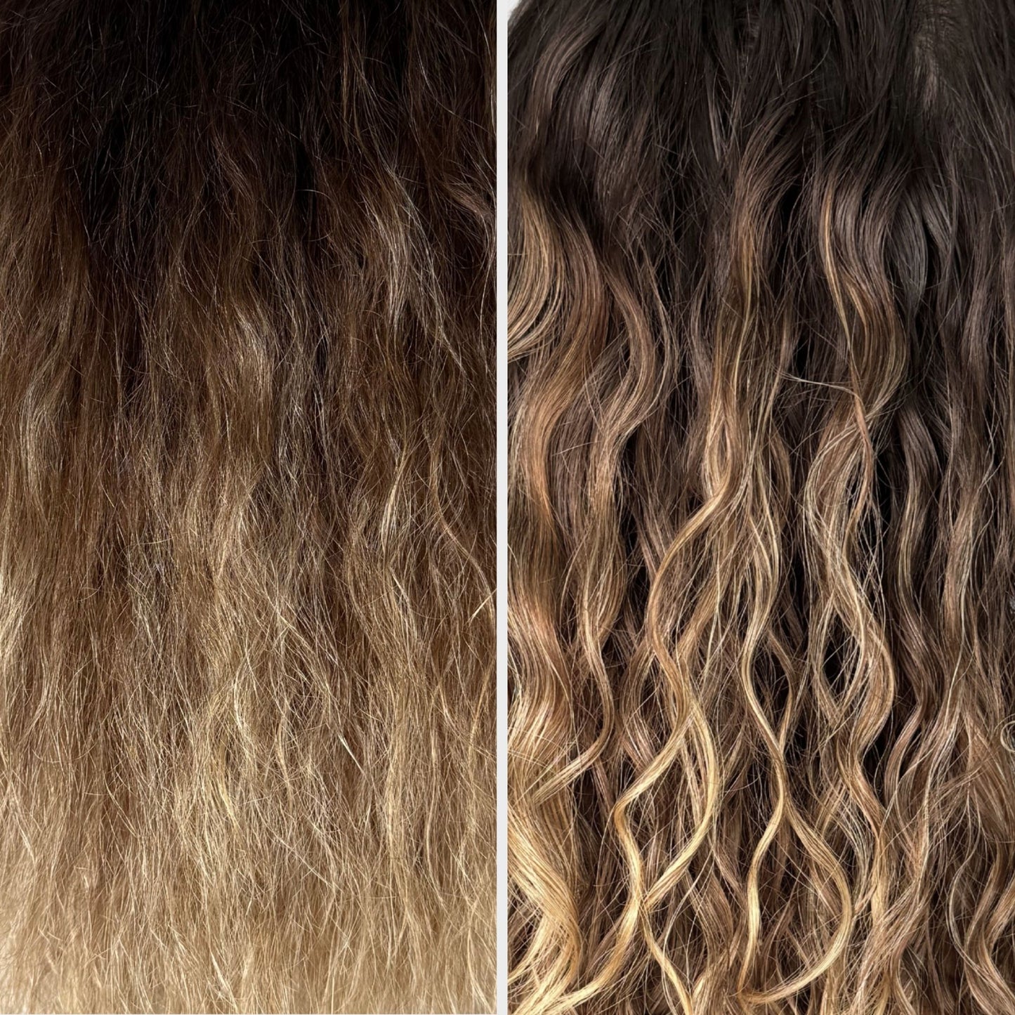 Blessed Bananas Hair & Scalp Serum