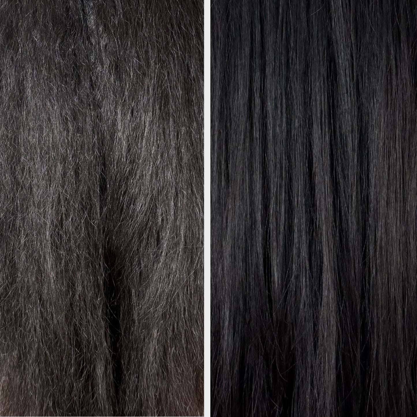 Blessed Bananas Shampoo