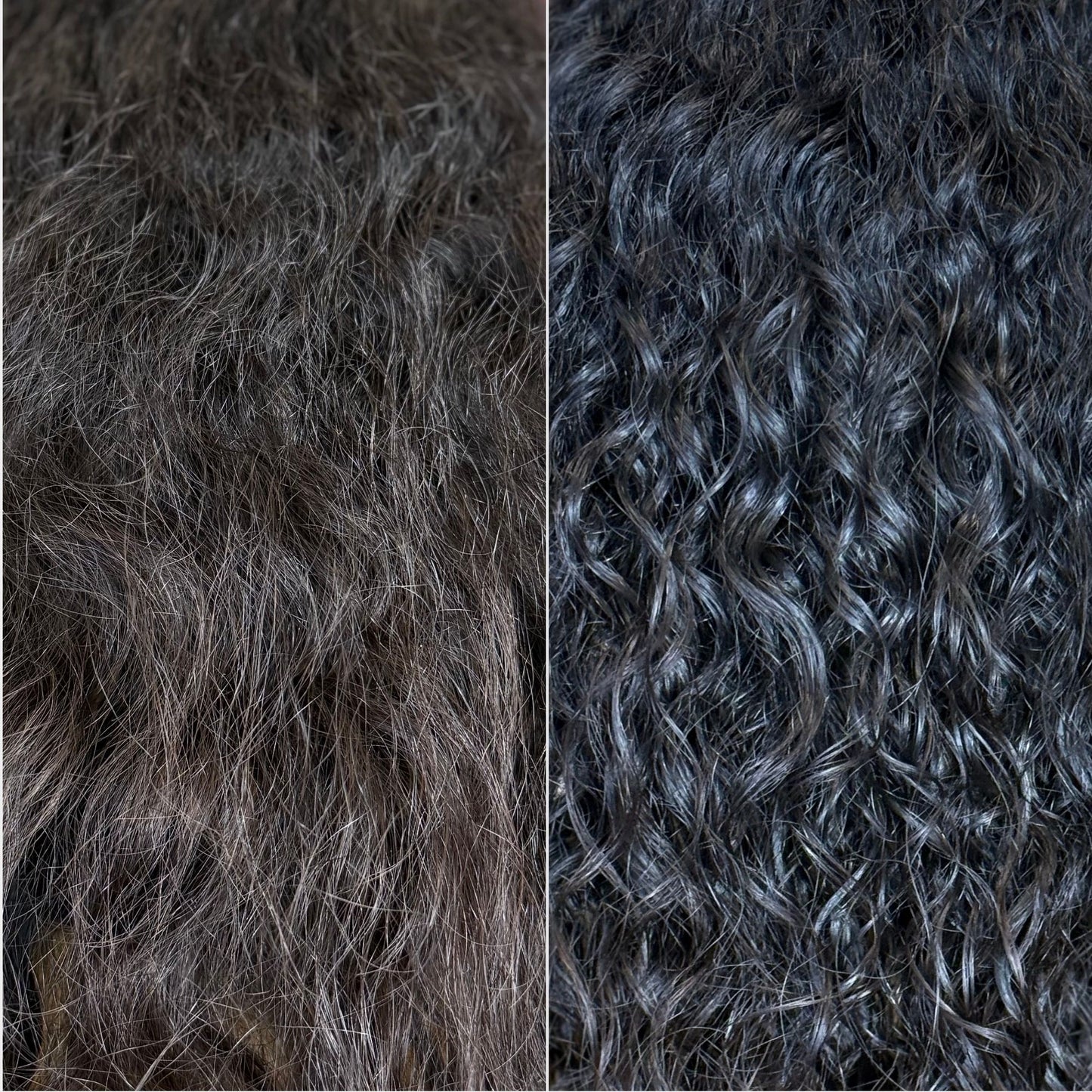 Blessed Bananas Hair & Scalp Serum